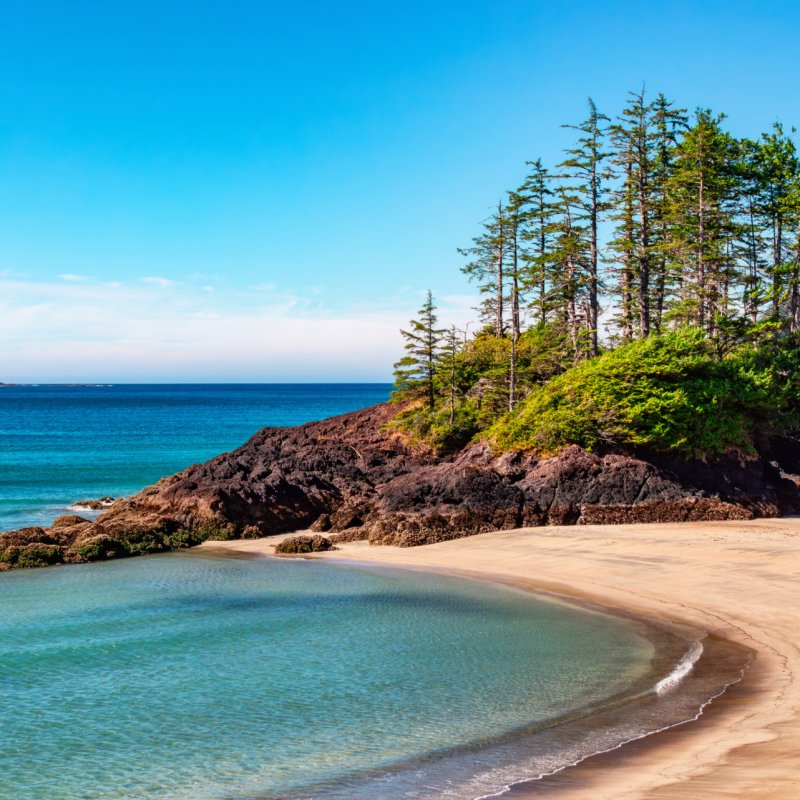 Canadian Nature Landscape on the West Coast of Pacific Ocean. Sandy Beach. Background Panorama. San Josef Bay, Vancouver Island, BC, Canada.